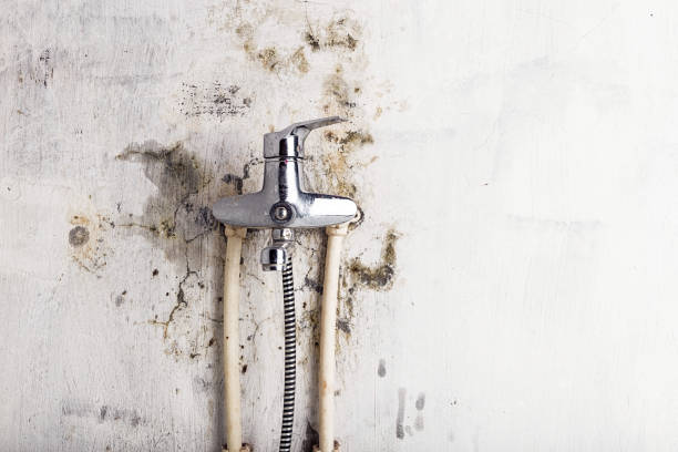 Reliable Austell, GA Mold Remediation Solutions