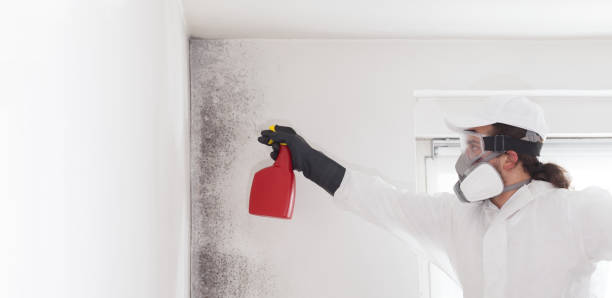 Best Bathroom Mold Remediation in Austell, GA