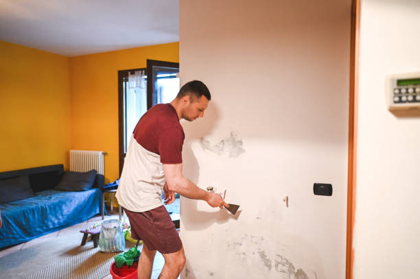 Best Post-Flood Mold Remediation in Austell, GA