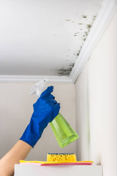Best Bathroom Mold Remediation in Austell, GA
