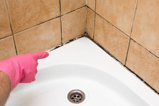 Best Post-Flood Mold Remediation in Austell, GA